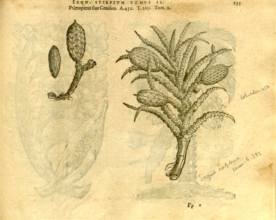 n1055_w1150