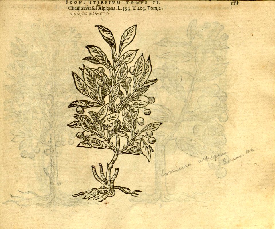 n995_w1150