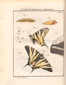 n157_w1150
