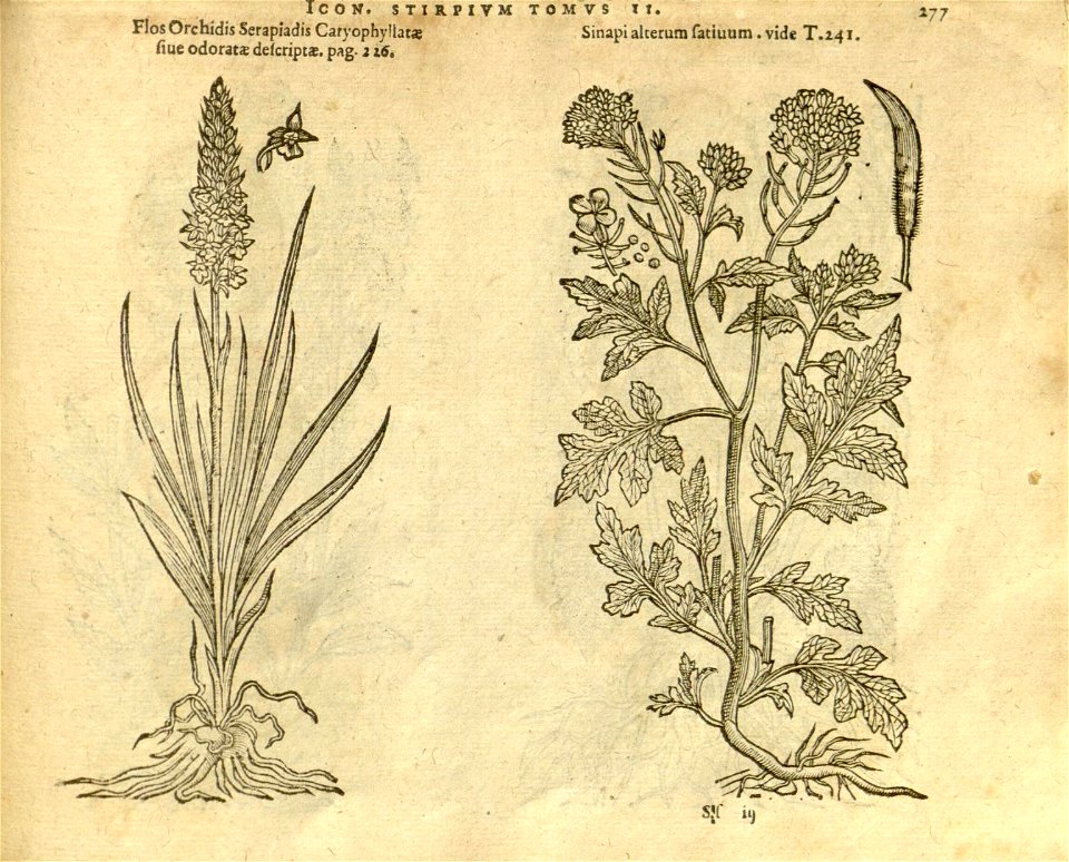 n1099_w1150