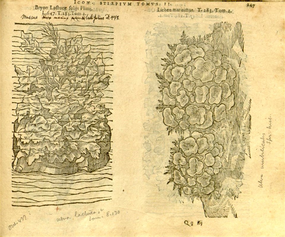 n1069_w1150
