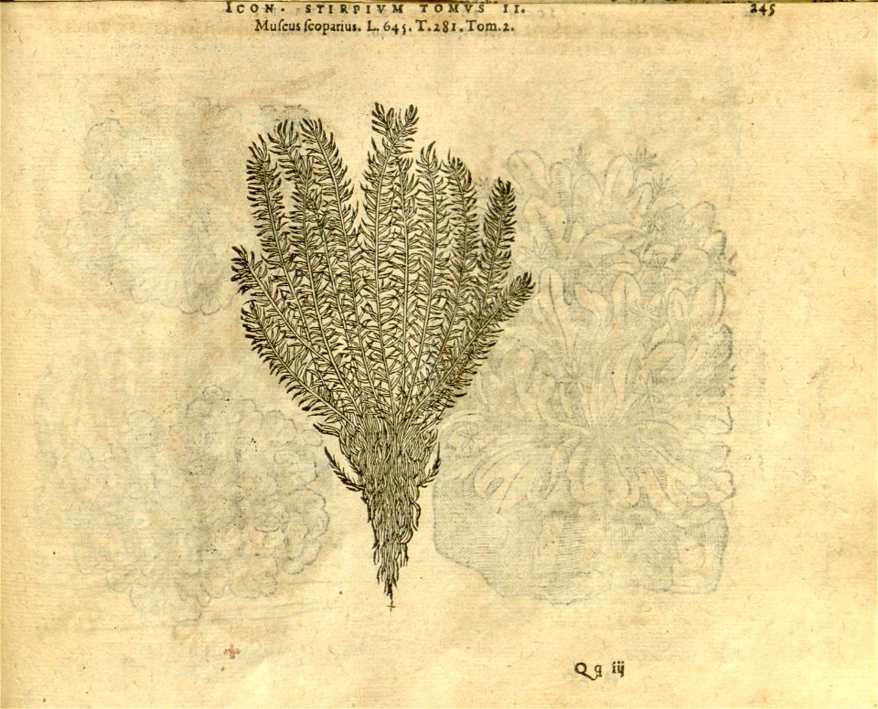 n1067_w1150