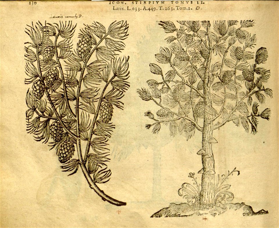 n1052_w1150