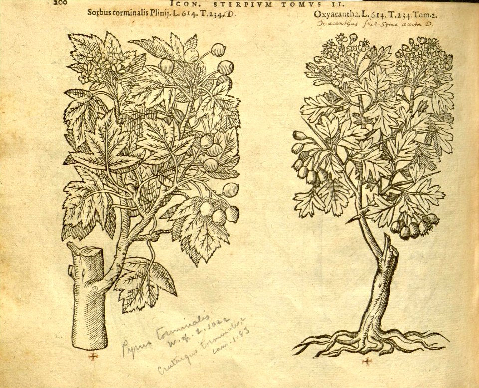 n1022_w1150