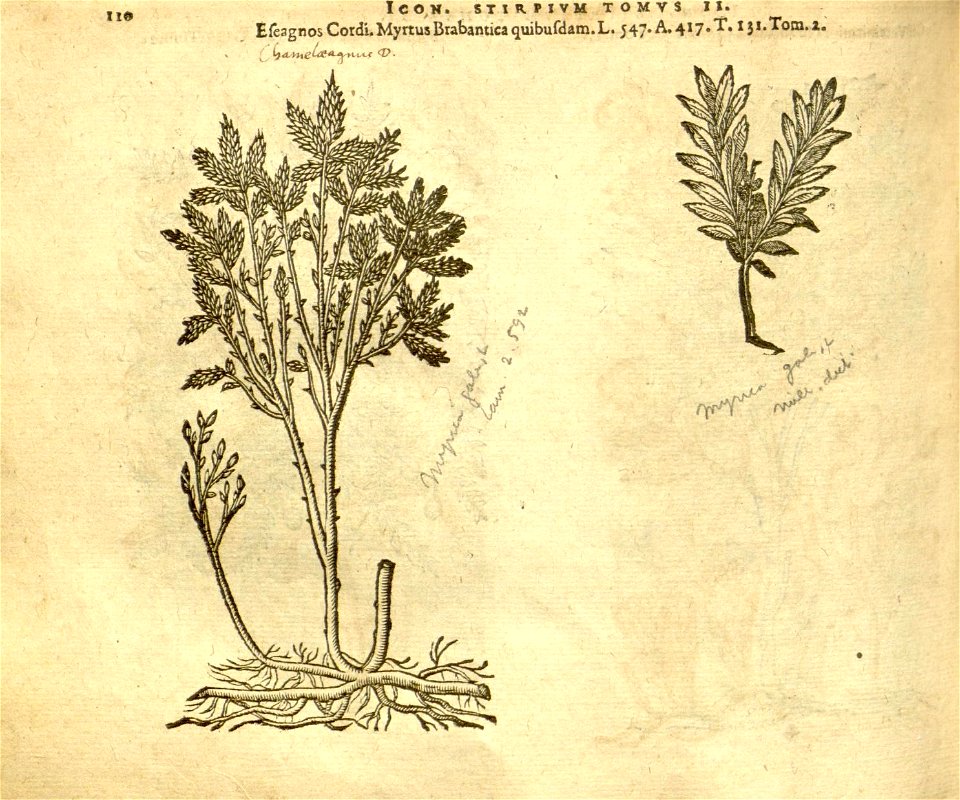 n932_w1150