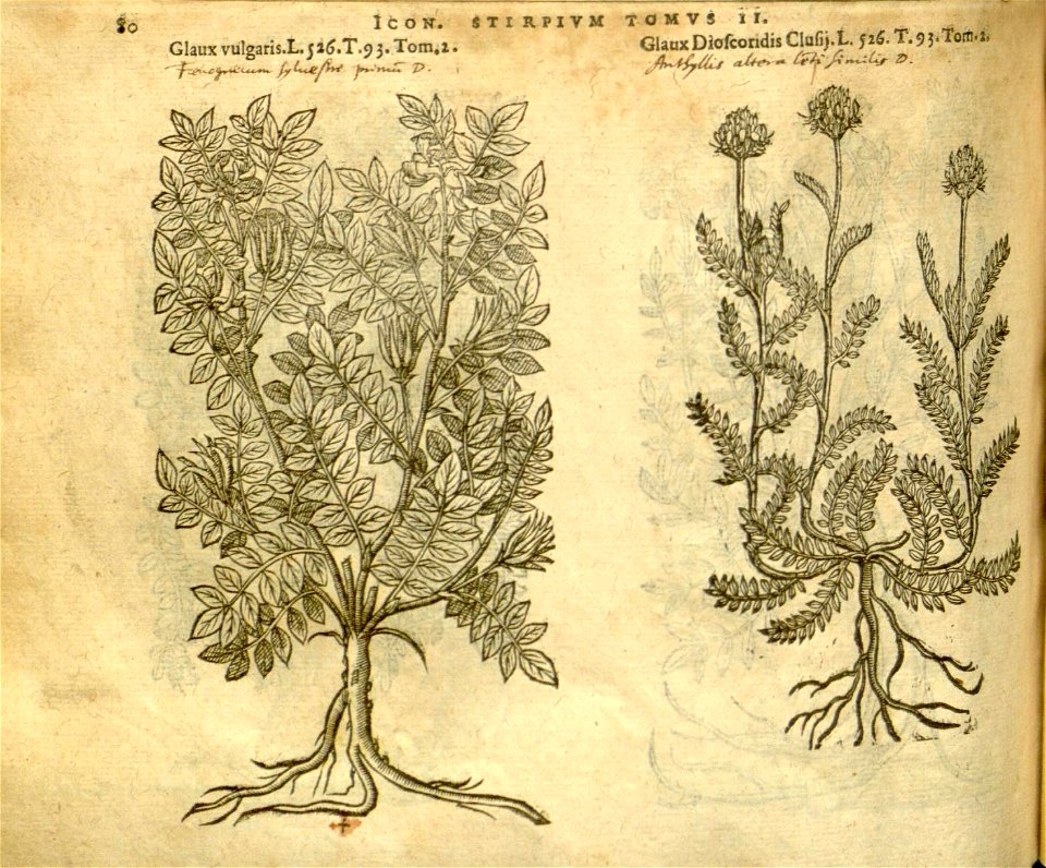 n902_w1150