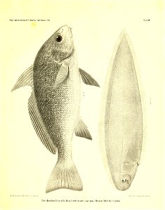 n92_w1150