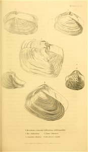 n518_w1150