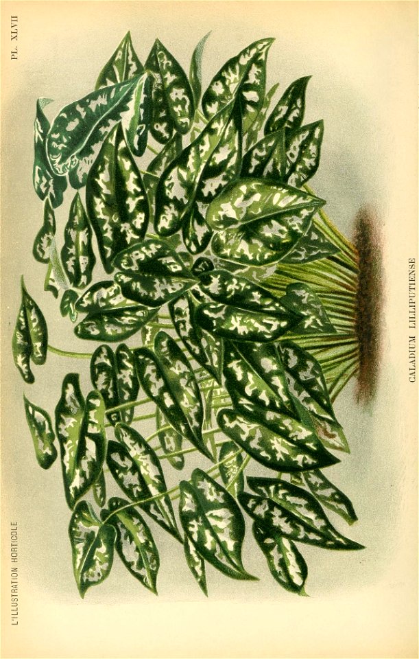 n459_w1150