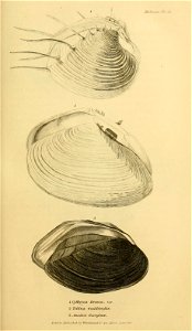 n166_w1150