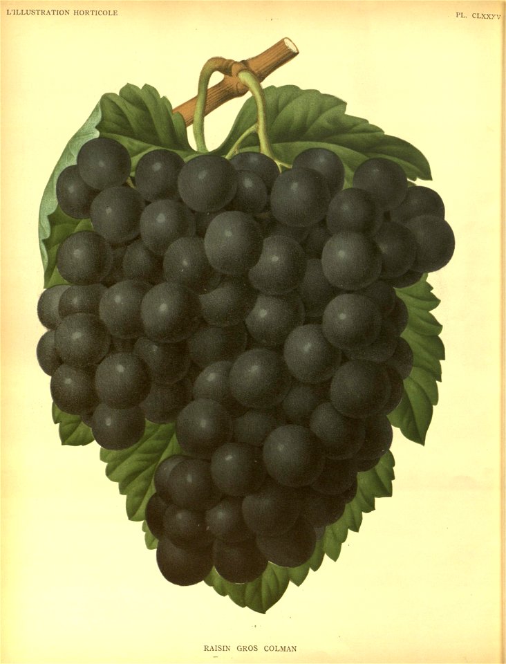 n157_w1150