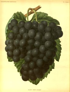 n157_w1150