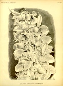 n212_w1150