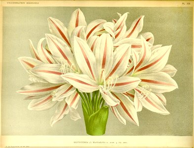 n124_w1150