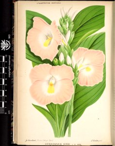 n152_w1150