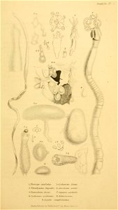 n596_w1150