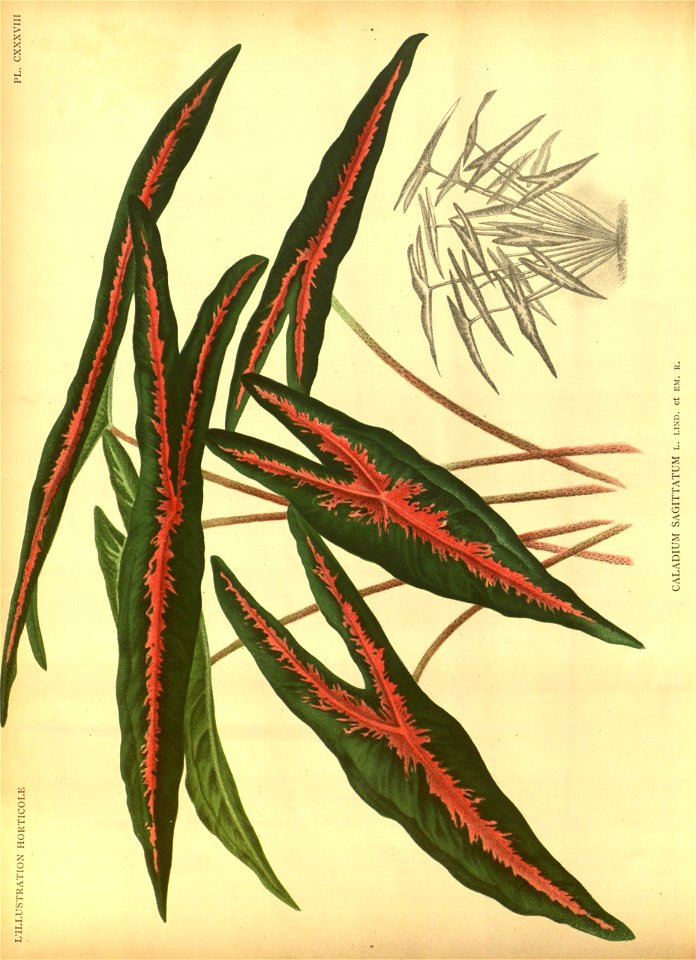 n165_w1150