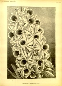 n55_w1150