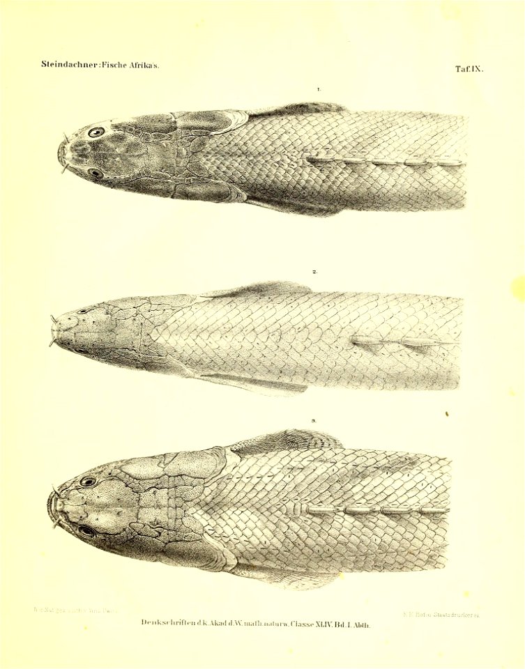n62_w1150