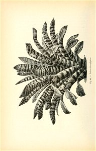 n403_w1150