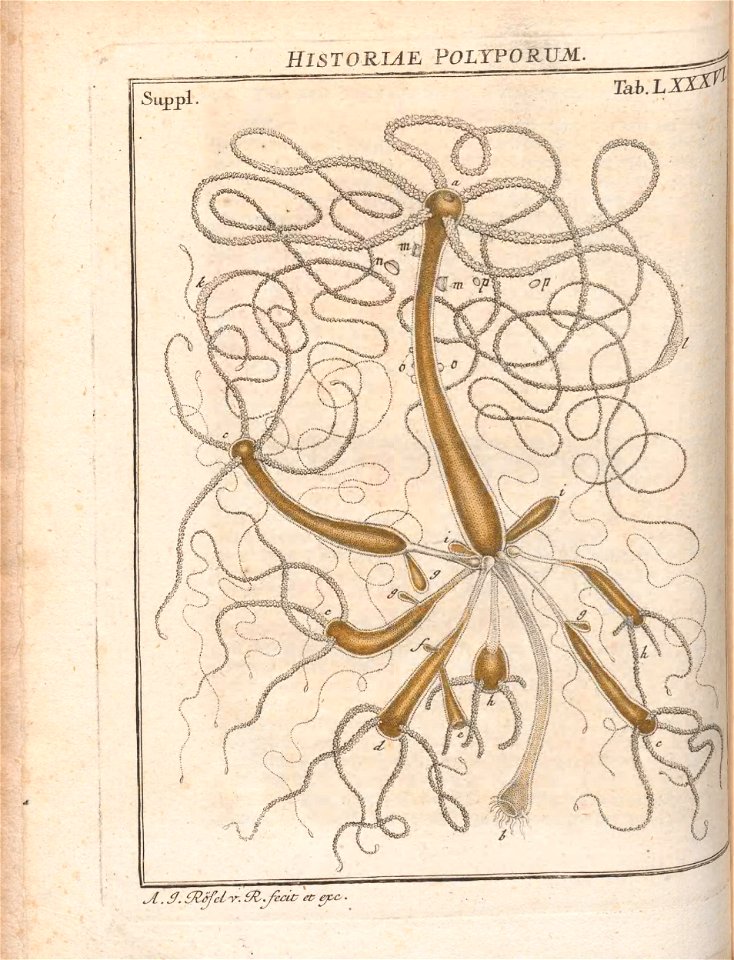 n693_w1150