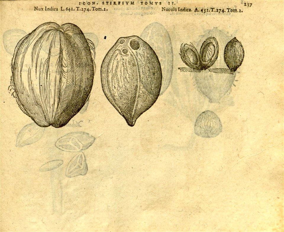 n1059_w1150