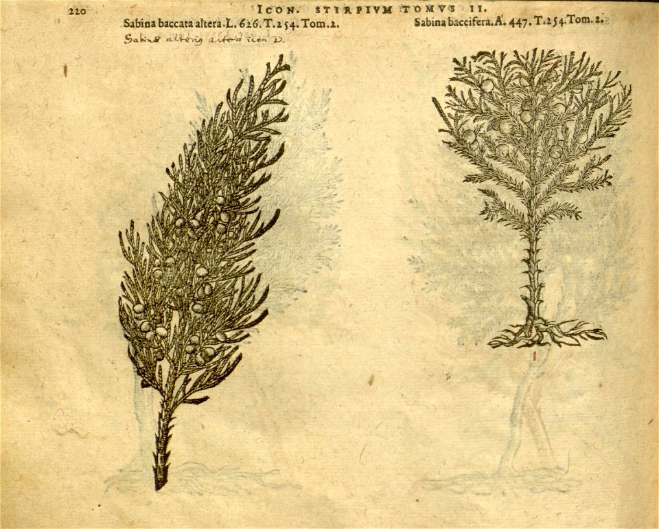 n1044_w1150