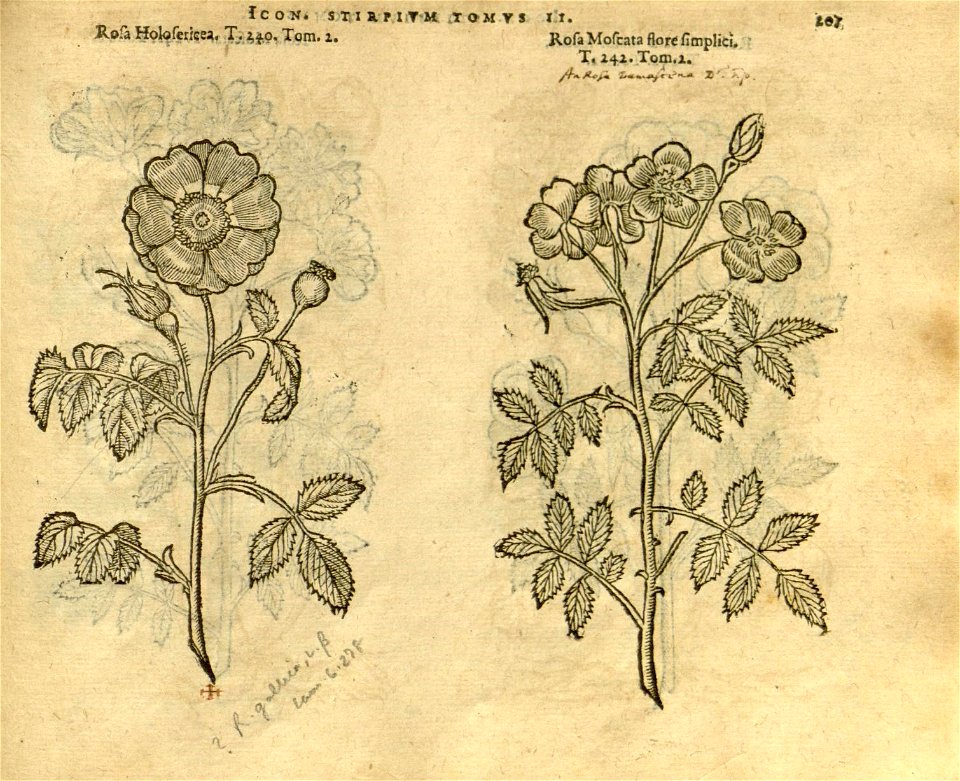 n1029_w1150