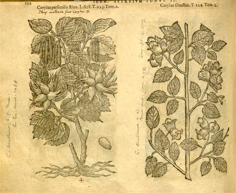 n1014_w1150