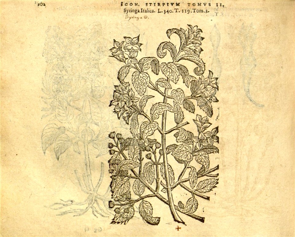 n924_w1150
