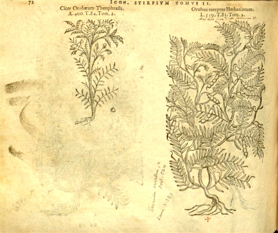 n894_w1150