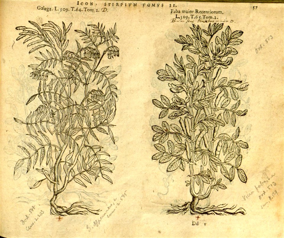 n879_w1150
