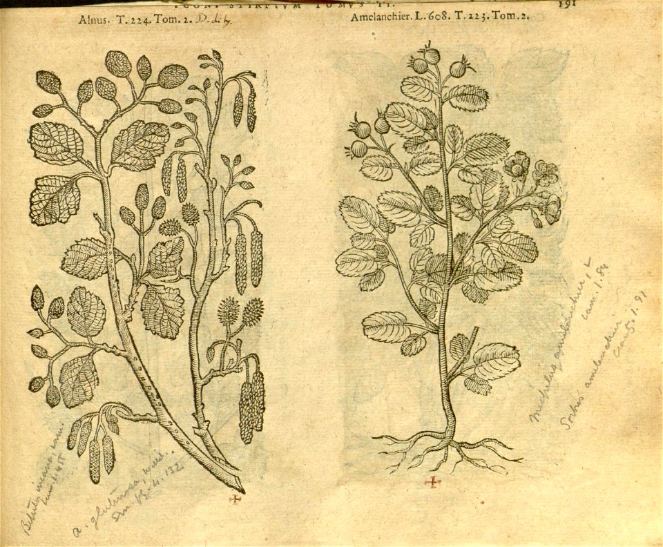 n1013_w1150