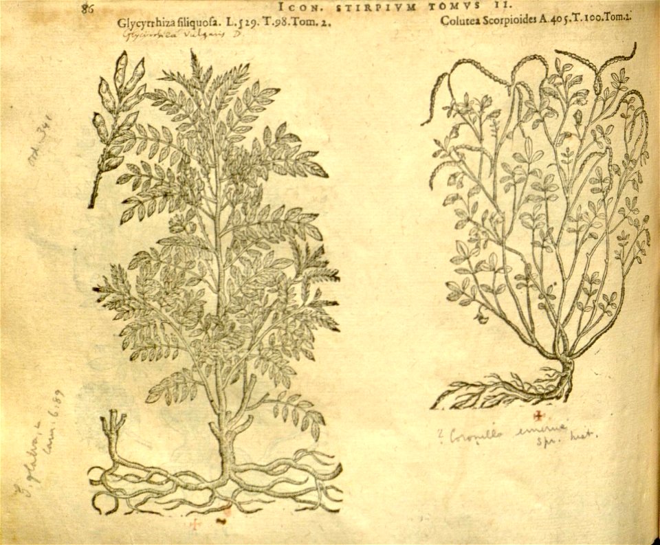 n908_w1150