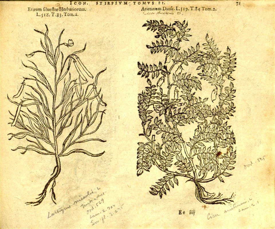 n893_w1150