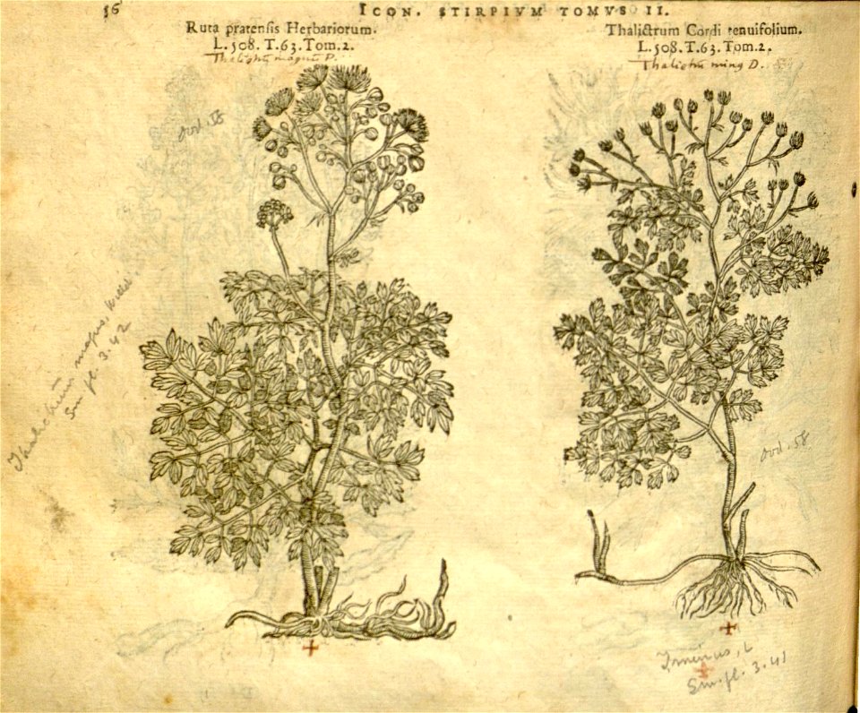 n878_w1150
