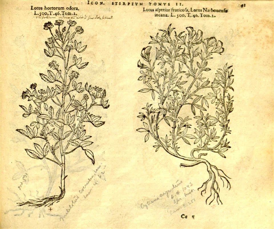 n863_w1150