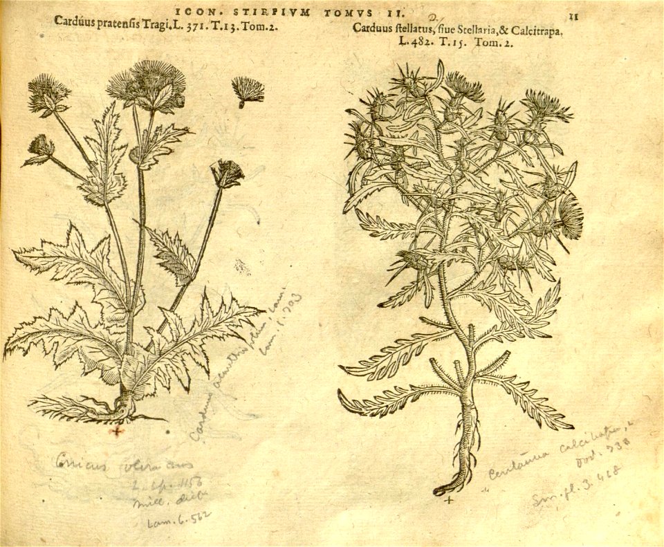 n833_w1150