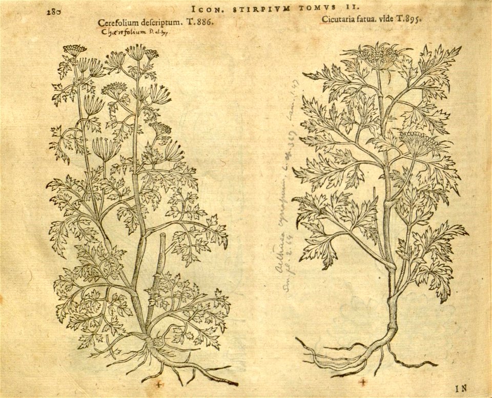 n1102_w1150
