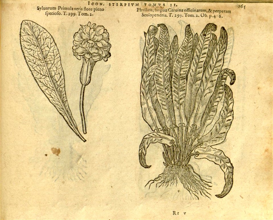 n1087_w1150