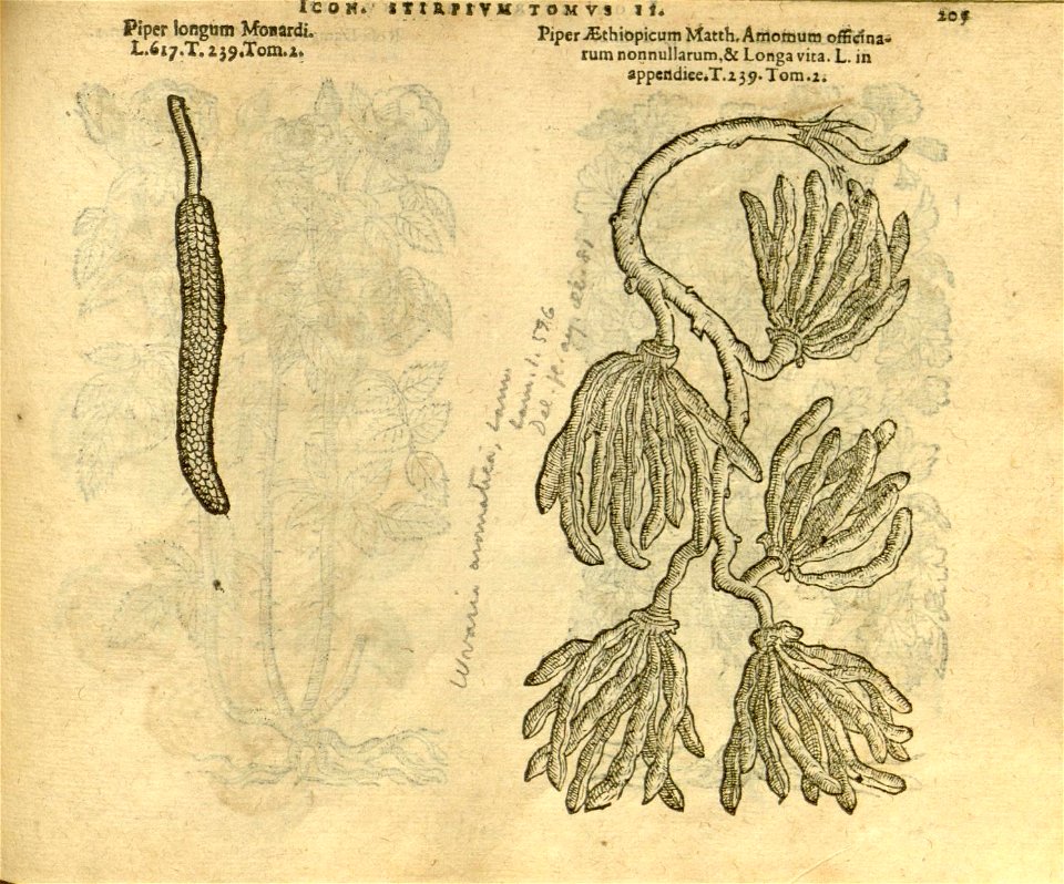 n1027_w1150
