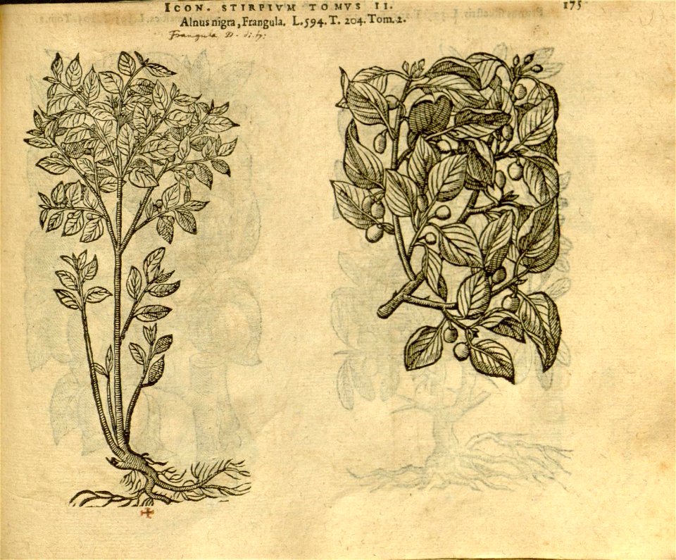 n997_w1150