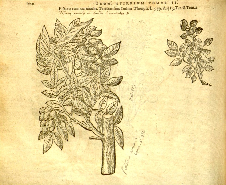n922_w1150