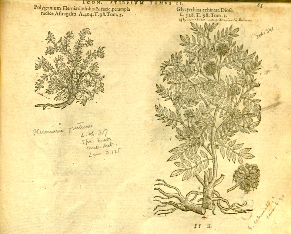 n907_w1150