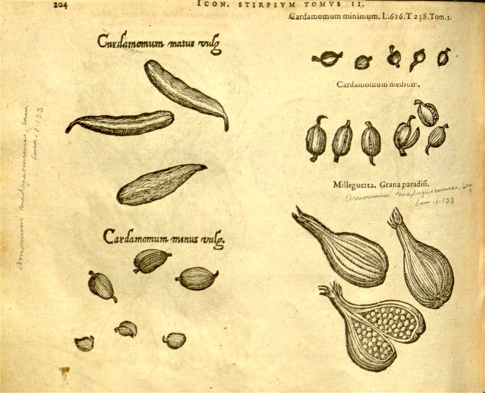 n1026_w1150