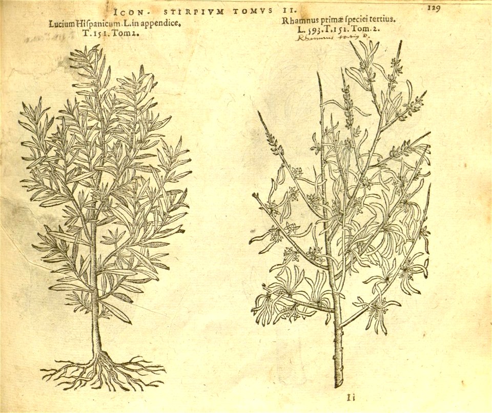 n951_w1150