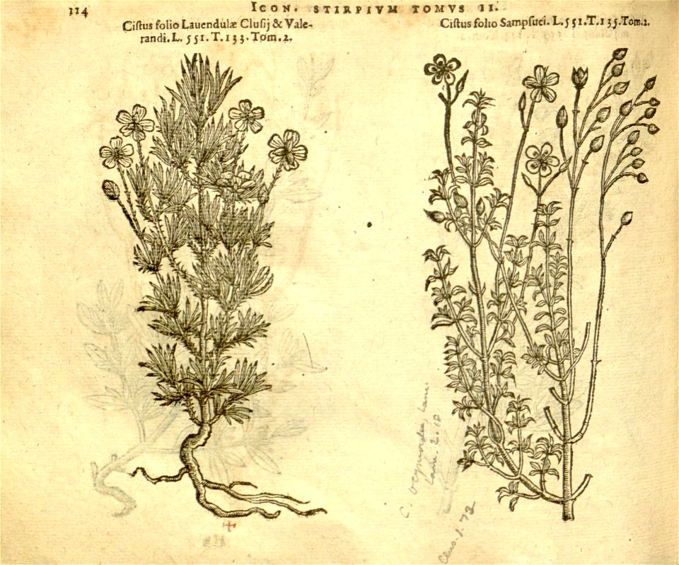 n936_w1150