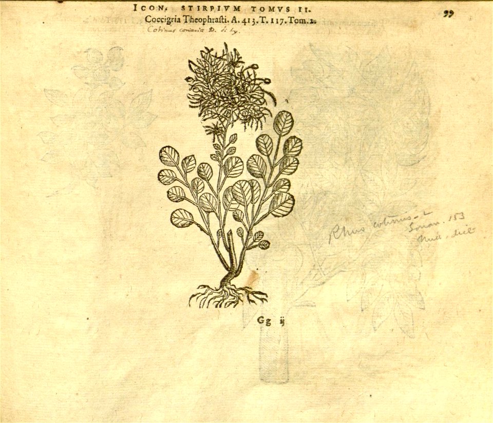 n921_w1150