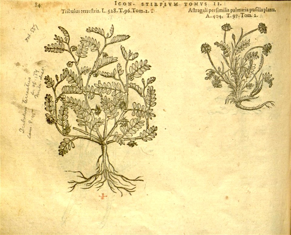 n906_w1150