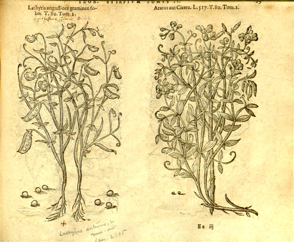 n891_w1150